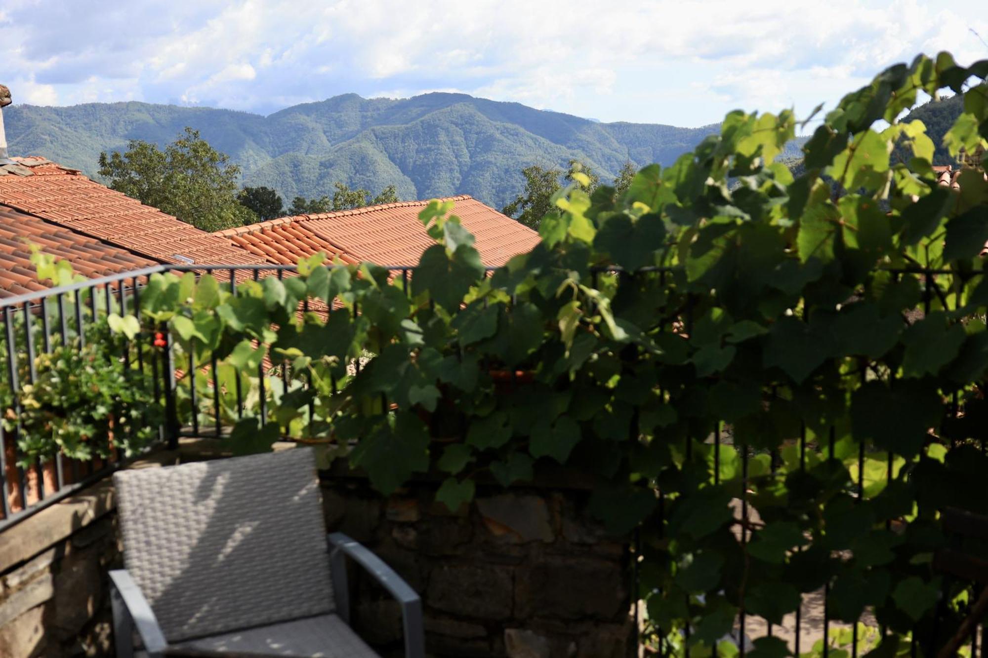 Agriturismo Montagna Verde Apella Licciana Nardi Εξωτερικό φωτογραφία