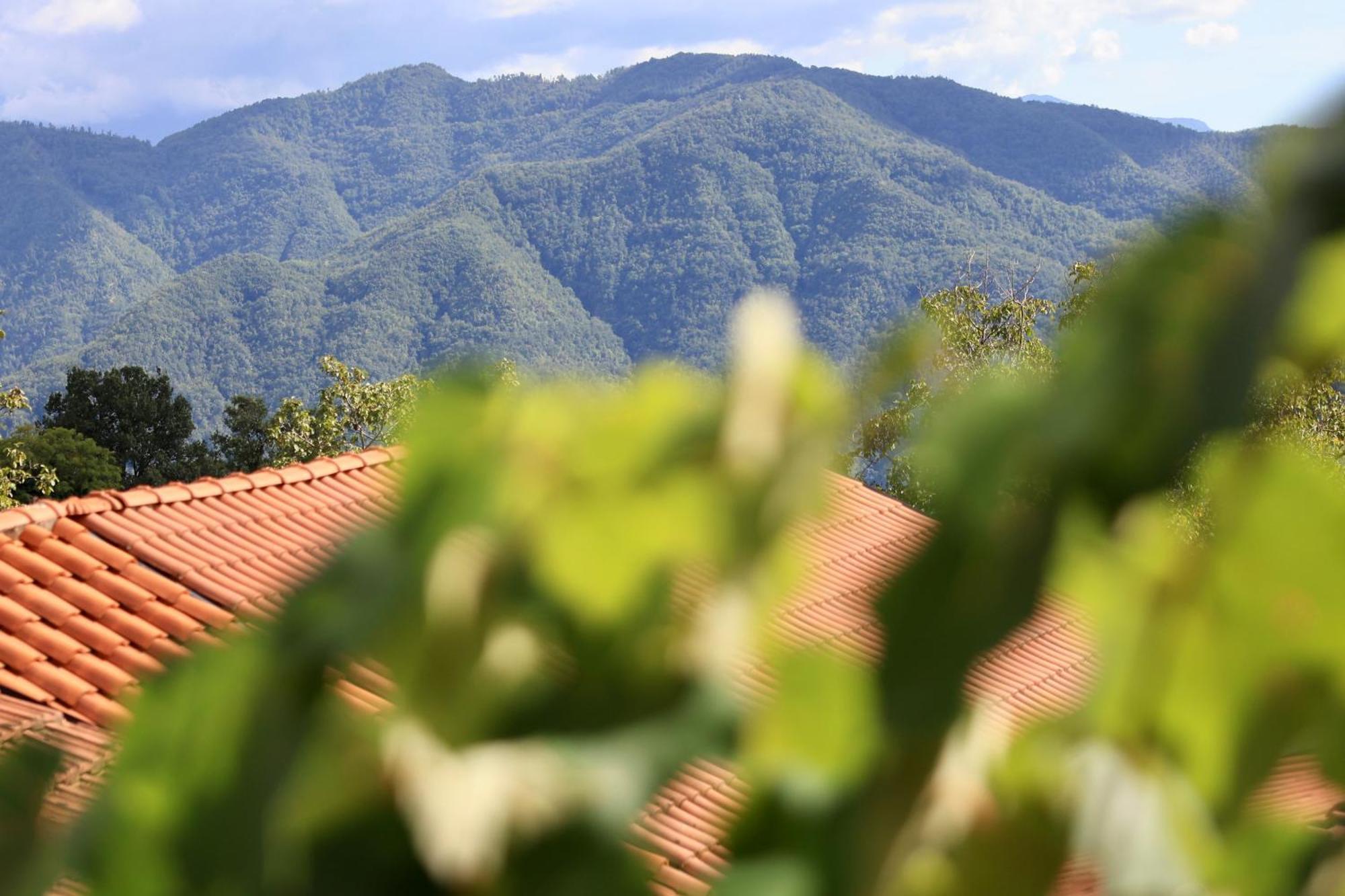 Agriturismo Montagna Verde Apella Licciana Nardi Εξωτερικό φωτογραφία